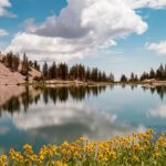 6 Ways to Support the National Parks This Year