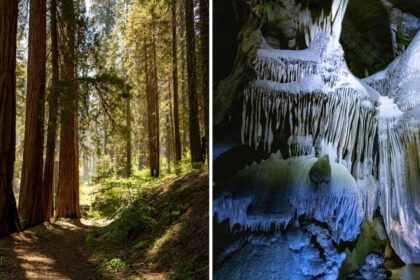 Crystal Cave in California’s Sequoia National Park Reopening