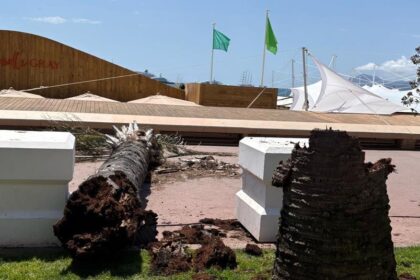 Cannes Croisette section closed by fallen palm tree, pedestrian reportedly injured
