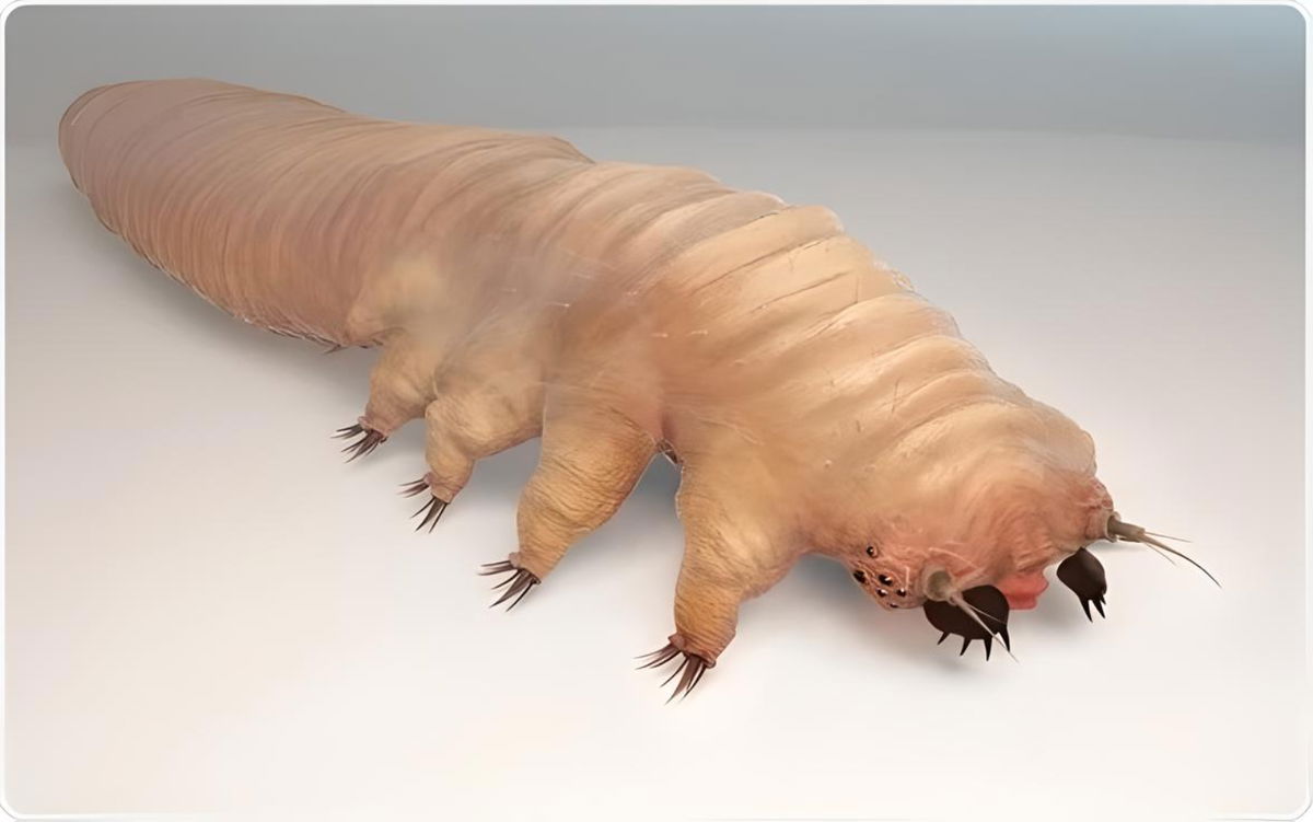 Dozens of disgusting bugs party on our faces while we sleep