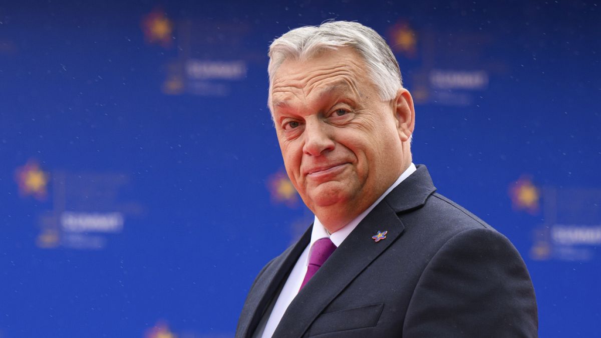 MEPs call on European Commission to cut Hungary off from EU funds