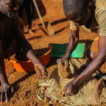 Uganda’s export earnings rise, driven by gold and coffee