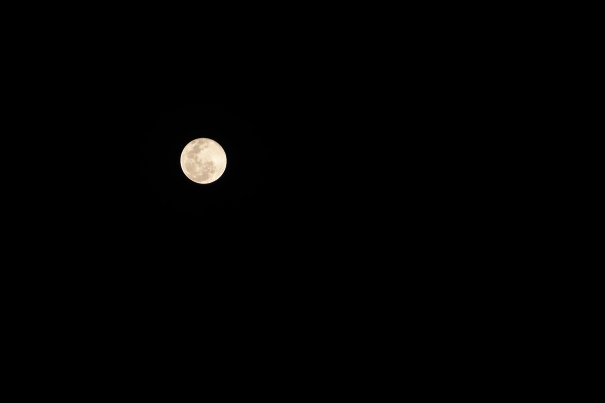 Don’t miss May’s micromoon: A full moon with a subtle twist