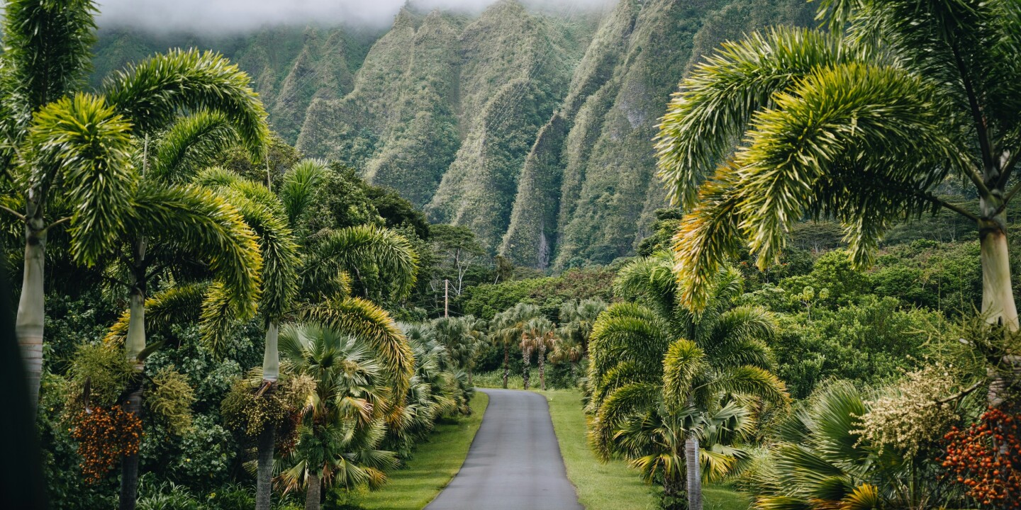 Hawai'i to Implement New Green Fee Tourist Tax