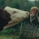 Karlovy Vary film festival unveils 2025 winners