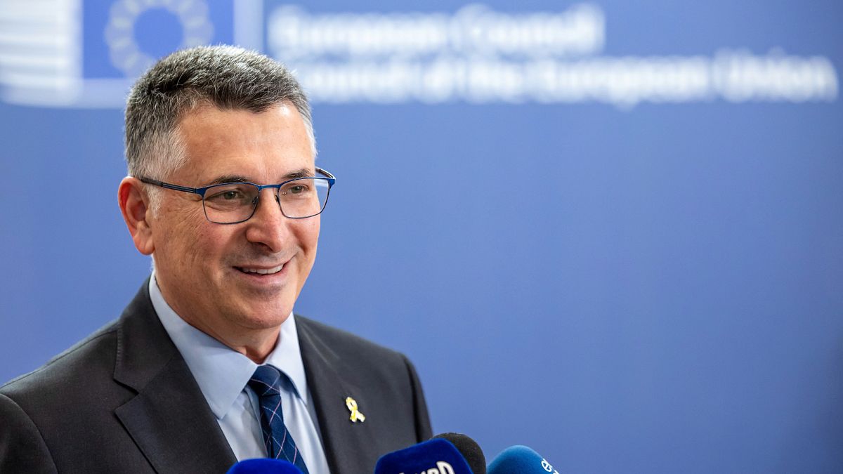Israel has no plans for long-term control of Gaza, FM Sa'ar tells Euronews