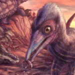 Scientists discover a 200-million-year-old flying dinosaur