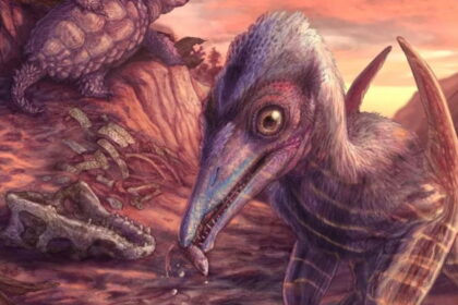 Scientists discover a 200-million-year-old flying dinosaur