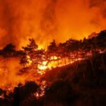 Syria issues appeal to EU for help battling massive wildfires along northwestern coast