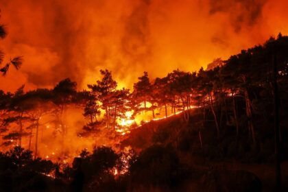 Syria issues appeal to EU for help battling massive wildfires along northwestern coast