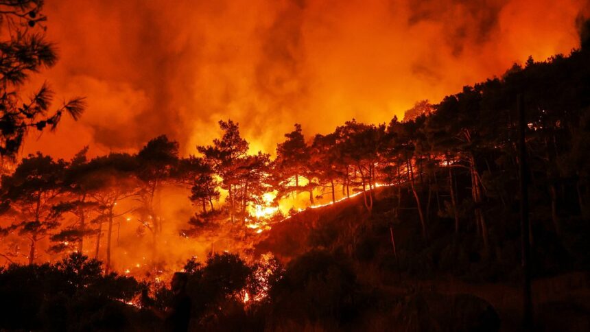 Syria issues appeal to EU for help battling massive wildfires along northwestern coast