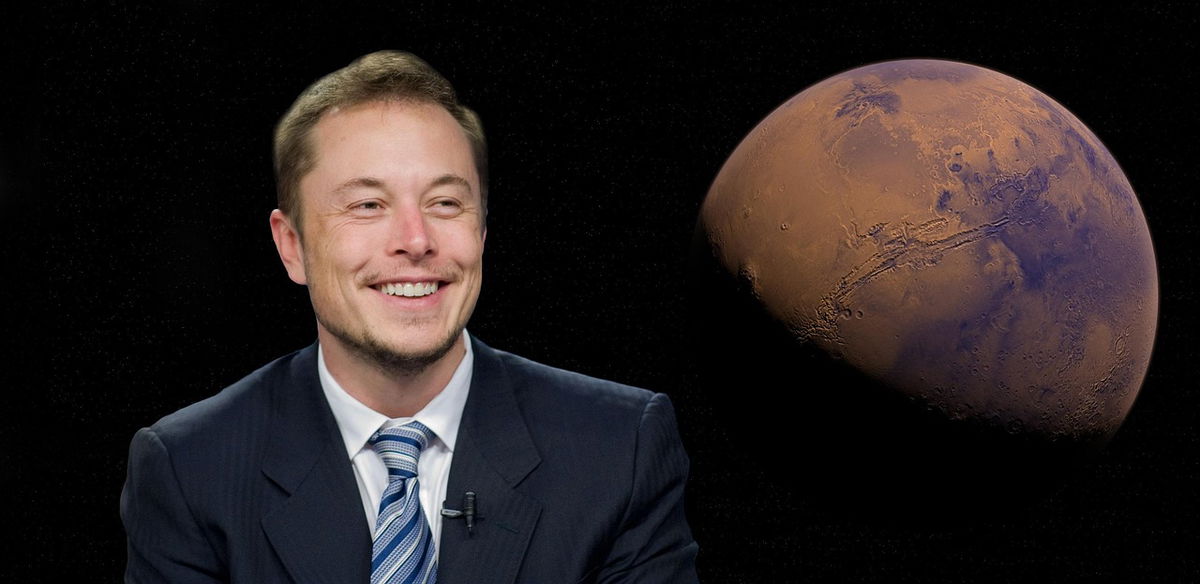 Musk enters political arena with new ‘America Party’