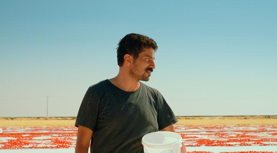 Oscars best international feature 2026: Turkey kicks off race with ‘One Of The Days When Hemme Dies’