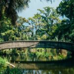 Amtrak's Mardi Gras Train Returns: New Orleans to Gulf Coast