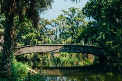 Amtrak's Mardi Gras Train Returns: New Orleans to Gulf Coast