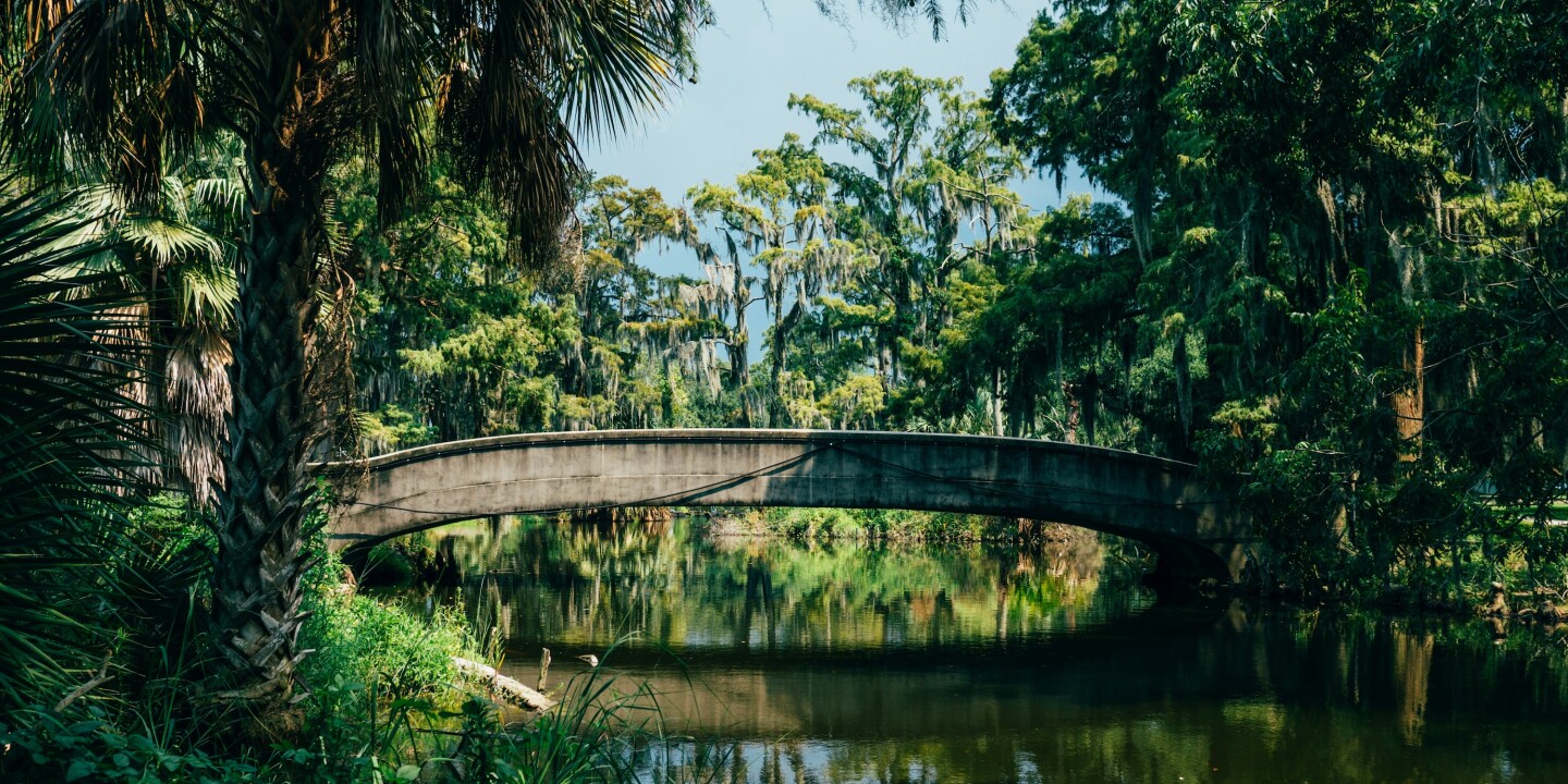 Amtrak's Mardi Gras Train Returns: New Orleans to Gulf Coast