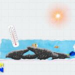 European seas break temperature records: Are they too warm?