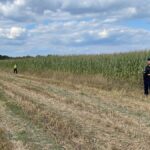 Expert: drone incidents will continue in Poland as long as there is a war across our border