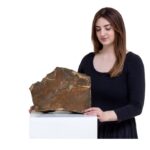 Martian meteorite auctioned off at $5.3 million by Sotheby’s