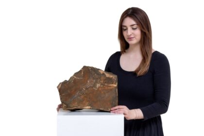 Martian meteorite auctioned off at $5.3 million by Sotheby’s