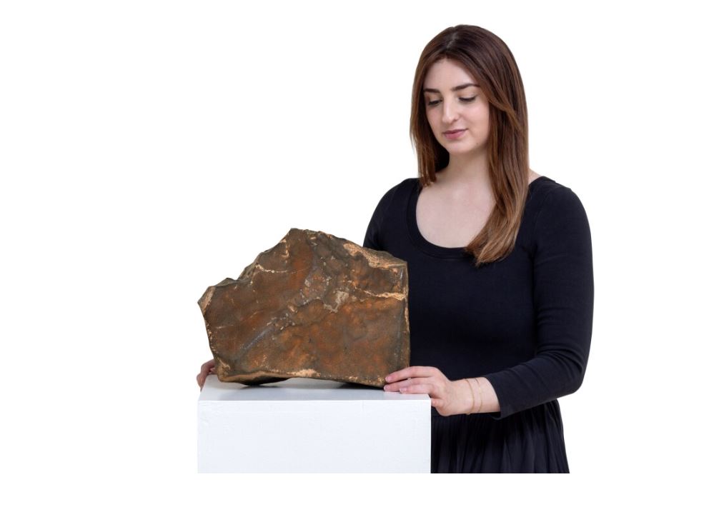 Martian meteorite auctioned off at $5.3 million by Sotheby’s