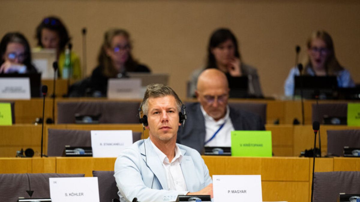 Parliamentary immunity: It's judgment day for MEPs Peter Magyar and Ilaria Salis