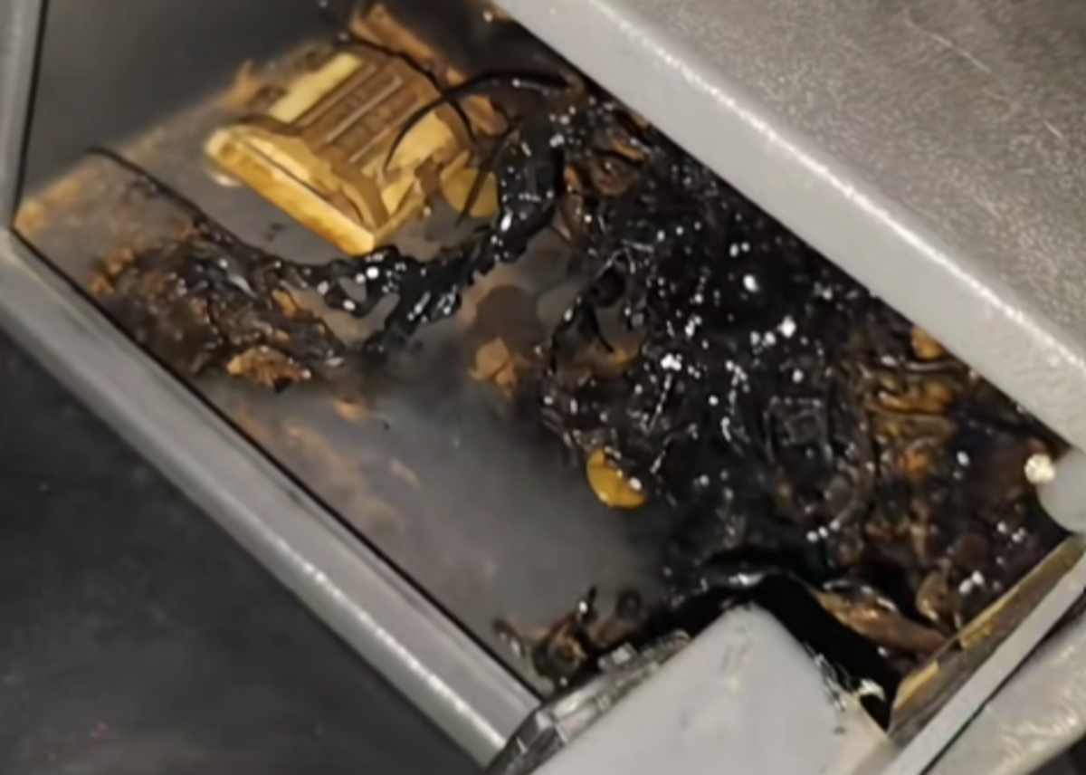 Panama’s ‘Venom alien’ meteorite: Reality or hoax?