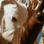 Stoic boards sales on FrightFest premiere ‘The Rows’