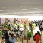 Red Sea Souk projects include CJ Obasi, Maha Haj and Mohamed Kordofani titles