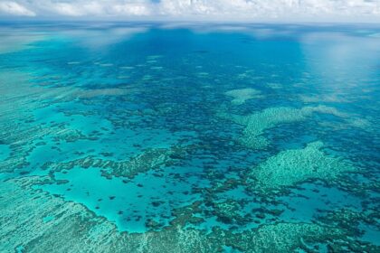 Elderly woman found dead on Australian island after being left by cruise ship