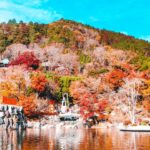 When's the Best Time of Year to Visit Japan?