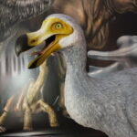 Scientists on verge of resurrecting the Dodo