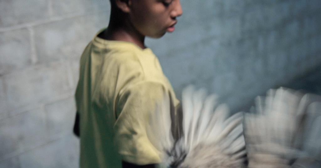 ‘Awaiting Birds,’ ‘Low Light,’ ‘Matias’ and ‘Missing’ win big at Ventana Sur