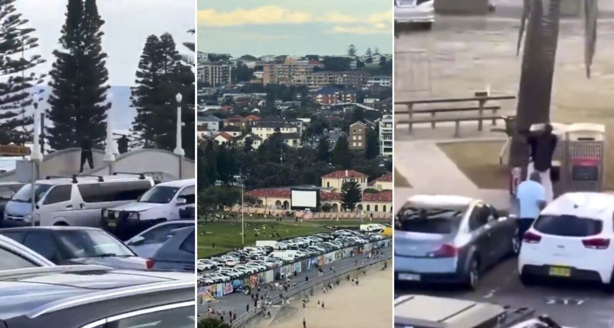 Terror at Bondi Beach: Gunmen kill 10 at family Hanukkah event