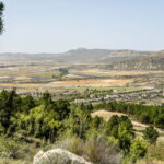 Elon Musk wants rural Spain to power all of Europe with solar energy