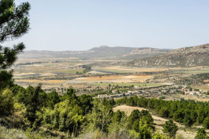 Elon Musk wants rural Spain to power all of Europe with solar energy