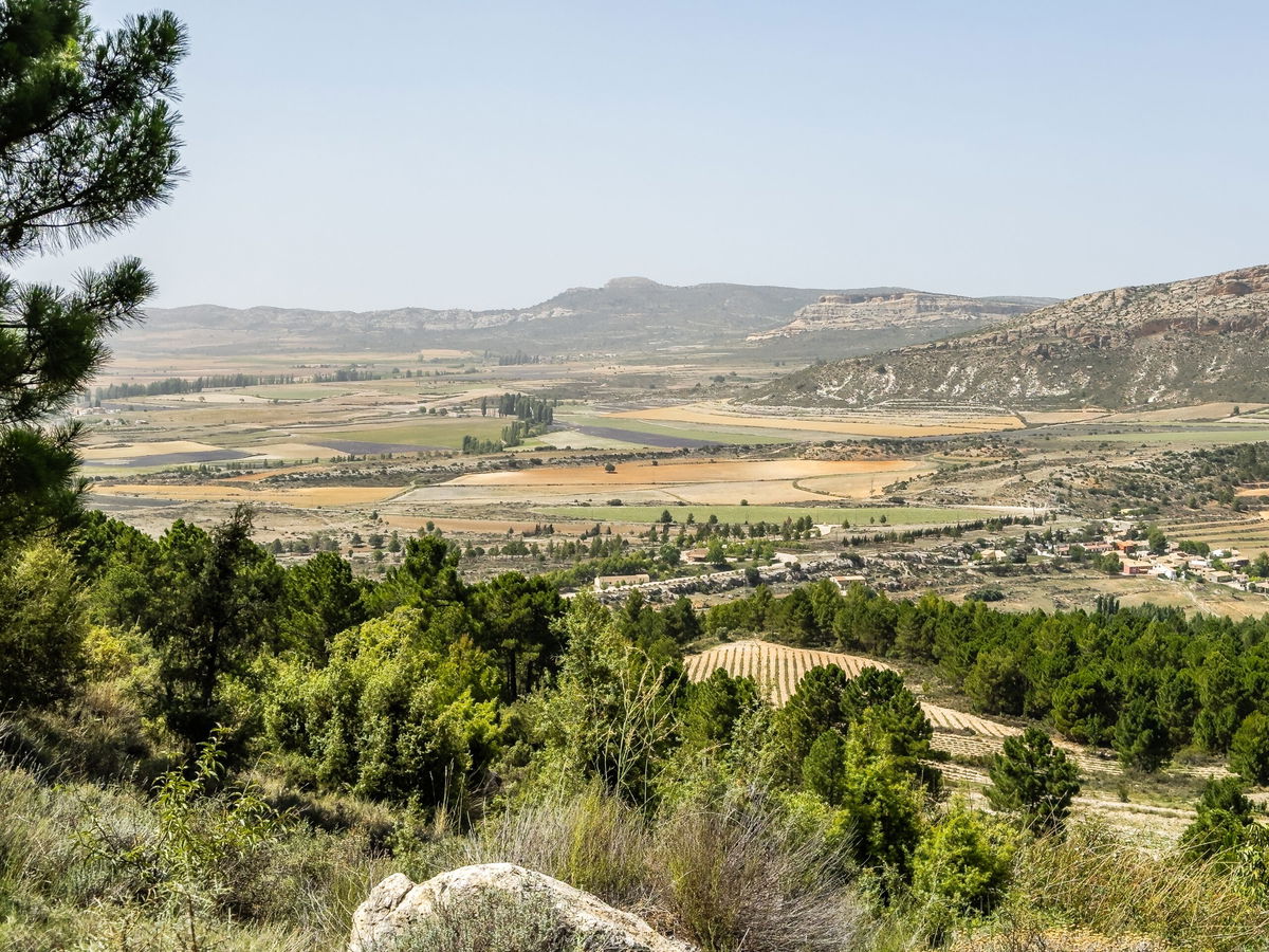 Elon Musk wants rural Spain to power all of Europe with solar energy